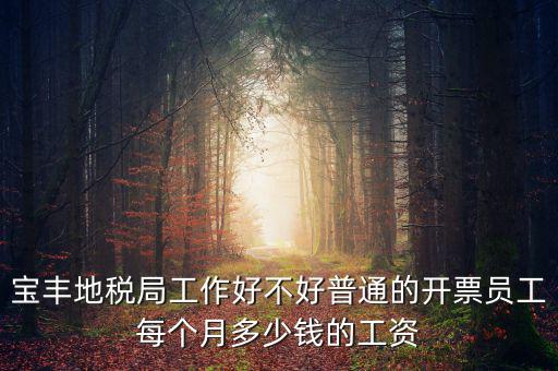 寶豐國(guó)稅局局長(zhǎng)叫什么，寶豐三分局移動(dòng)營(yíng)業(yè)廳地址在哪里