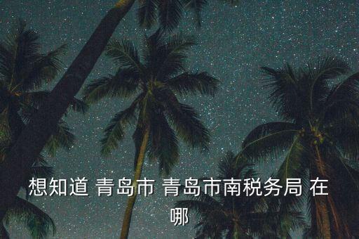 青島稅務(wù)局在什么地方，青島國稅局在什么位置在什么路上