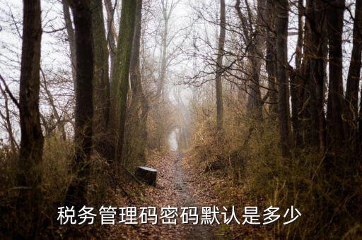 湖北國(guó)稅盤原始密碼是什么意思，湖北地稅網(wǎng)絡(luò)發(fā)票登陸密碼是什么急急急