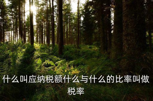 什么叫應(yīng)用稅額，各種收入等于應(yīng)用稅額除以什么