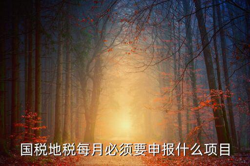 國稅月初申報什么，國稅地稅每月必須要申報什么項目