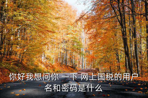 國稅登陸名和密碼是什么意思，國稅第一次網(wǎng)上申報的登陸密碼是什么