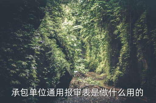 通用申報是什么意思，申報是什么意思