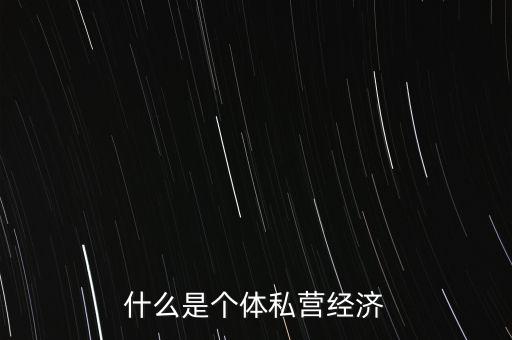 什么是個(gè)體私營經(jīng)濟(jì)