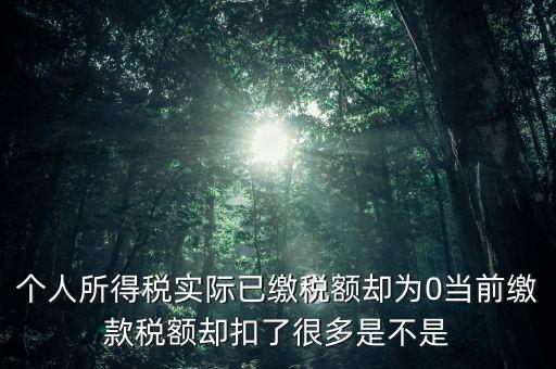 實繳稅額為什么是0，當(dāng)期的實交增值稅額為0是否進行城建稅的申報什么意思可以不用申報