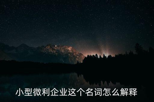 微利成公司是什么意思，小型微利企業(yè)這個名詞怎么解釋