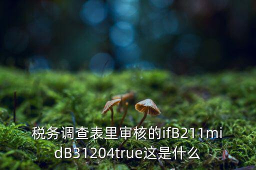 國稅調(diào)查表有什么意義，國稅要求地址普查的目的是什么