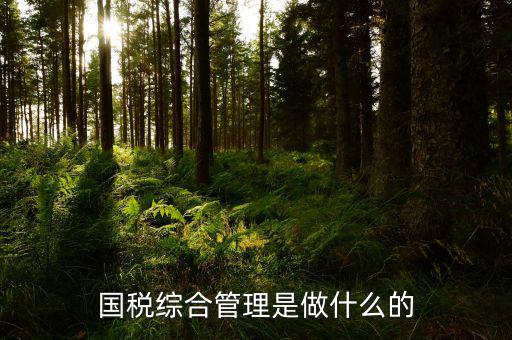 國稅綜合業(yè)務(wù)是什么，國稅綜合管理是做什么的