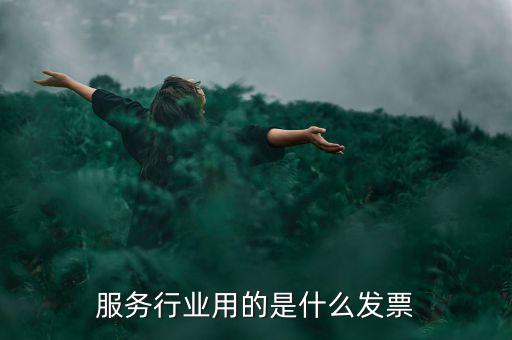 服務(wù)業(yè)發(fā)票是什么發(fā)票，服務(wù)發(fā)票是不是普通發(fā)票的一種