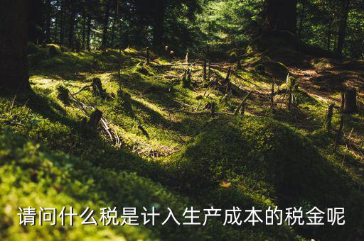 什么稅計(jì)入成本，請問什么稅是計(jì)入生產(chǎn)成本的稅金呢