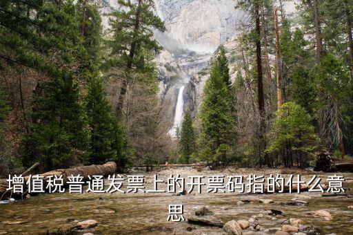 增值票的開票碼是什么意思，增值稅普通發(fā)票上的開票碼指的什么意思