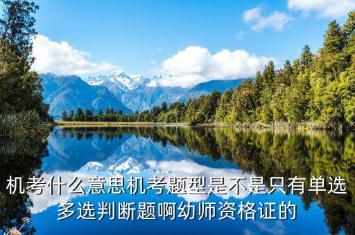 地稅局考機試是什么意思，機考什么意思機考題型是不是只有單選多選判斷題啊幼師資格證的