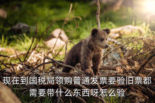 發(fā)票驗舊都需要帶什么，現(xiàn)在到國稅局領(lǐng)購普通發(fā)票要驗舊票都需要帶什么東西呀怎么驗