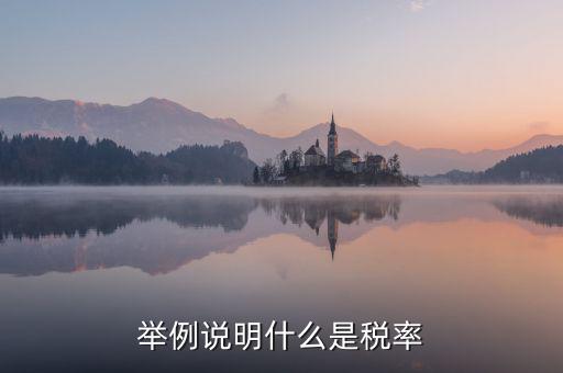 稅率說明是什么意思，稅率是什么意思