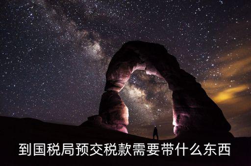 預(yù)繳稅金需要什么資料，到國(guó)稅局預(yù)交稅款需要帶什么東西