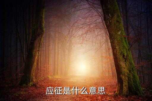 應(yīng)征發(fā)生日期什么意思，應(yīng)征的意思