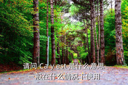 ca棒有什么作用是什么意思，CA的全稱是什么它的具體作用是什么