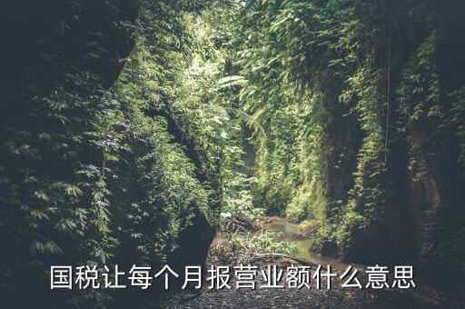 國稅每月報(bào)稅的是什么意思，請問每月抄稅和報(bào)稅各是什么意思