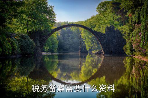 去國(guó)稅備案都帶什么資料，國(guó)稅登記需要帶什么資料