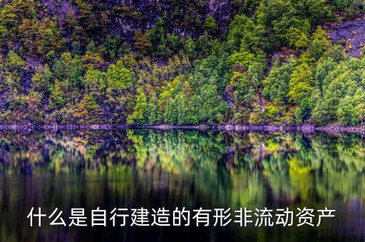 什么叫自建不動產(chǎn)，自建不動產(chǎn)不共擔(dān)風(fēng)險的投資行為