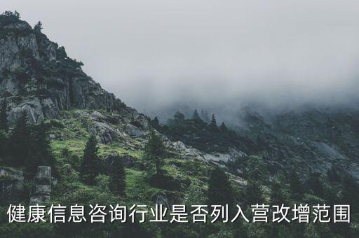 什么時候什么營改增的，營改增的會計范圍及會計處理