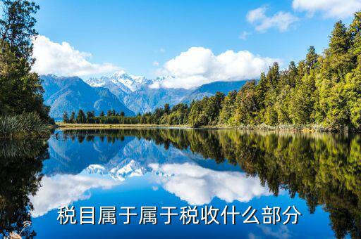 課題經(jīng)費(fèi)屬什么稅目，求助這兩個(gè)應(yīng)該屬于什么稅目