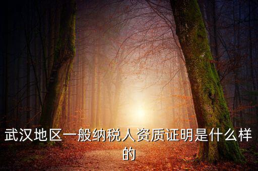 納稅資質(zhì)證明是什么意思，什么是稅務證明