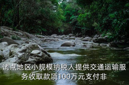 什么向試點(diǎn)地區(qū)納稅人支付費(fèi)用，4試點(diǎn)地區(qū)內(nèi)一般納稅人向試點(diǎn)地區(qū)內(nèi)一般納稅人支付費(fèi)用取得增值