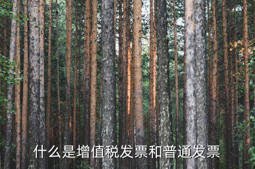 增值稅普通發(fā)票卷票是什么，卷票和普通增值稅發(fā)票有什么區(qū)別嗎