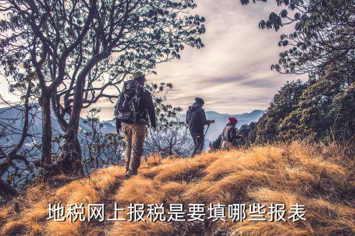 去地稅申報(bào)填寫什么表，地稅申報(bào)表如何填寫