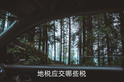2017年地稅繳納什么稅，地稅應(yīng)交哪些稅