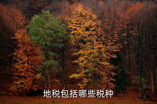 地稅足什么，地稅包括哪些稅種