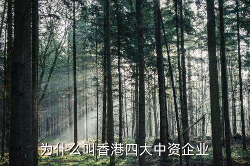 什么叫中資控股企業(yè)，為什么叫香港四大中資企業(yè)