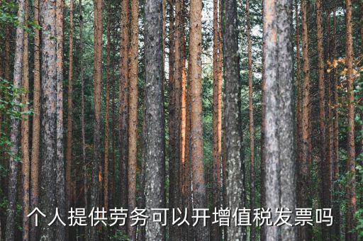 什么是個(gè)人勞務(wù)發(fā)票嗎，個(gè)人開(kāi)工程勞務(wù)費(fèi)發(fā)票是在工程所在地開(kāi)具嗎
