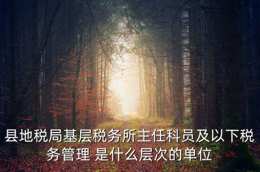地稅局主任干什么，在地稅局工作寫材料具體是怎么工作