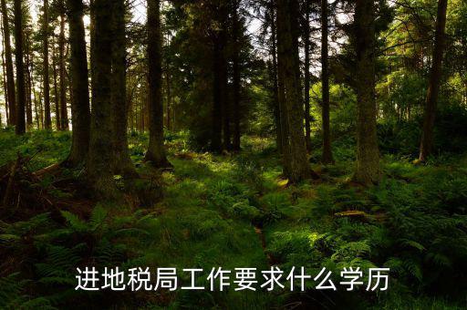 地稅上班要會什么最低學(xué)歷，要去地稅局上班都要學(xué)些什么啊