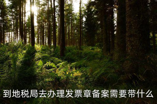 去地稅局備案需要什么，地稅備案需要什么資料