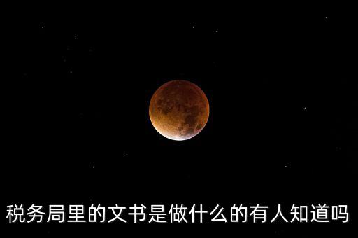 稅務(wù)文書是什么，急需稅務(wù)文書格式