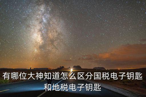 國稅電子鑰匙是什么，稅務(wù)密鑰是什么東西是數(shù)字證書嗎