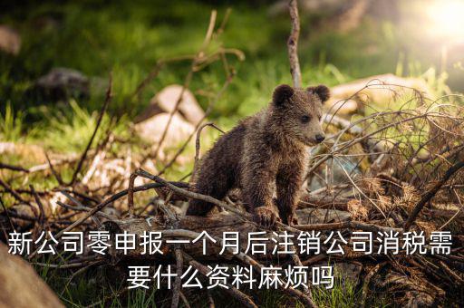 注銷稅盤需要什么資料，新公司零申報一個月后注銷公司消稅需要什么資料麻煩嗎
