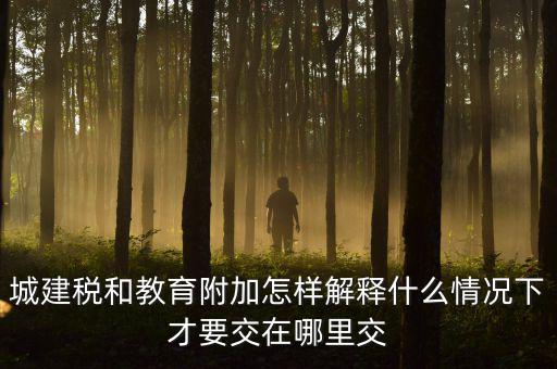 什么時候有教育費(fèi)附加，子女教育專項(xiàng)附加扣除的起始時間