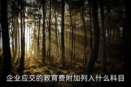 教育費附加干什么，教育費附加代表什么意思