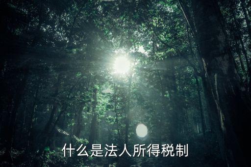 什么是法人企業(yè)所得稅，百度如何理解企業(yè)所得稅應(yīng)該稱之為法人所得稅
