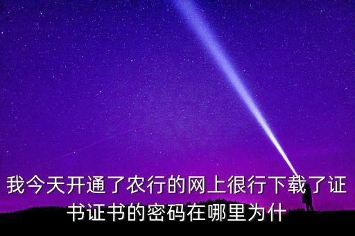 查看證書密碼是什么原因，我今天開通了農(nóng)行的網(wǎng)上很行下載了證書證書的密碼在哪里為什