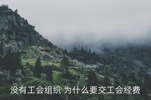 為什么要繳納工會(huì)經(jīng)費(fèi)，什么情況下公司要成立工會(huì)且要交工會(huì)經(jīng)費(fèi)
