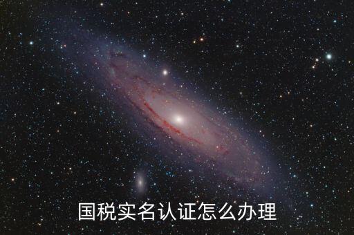實(shí)名辦稅需要什么材料，在國(guó)稅局辦理法人實(shí)名制認(rèn)證要帶什么材料
