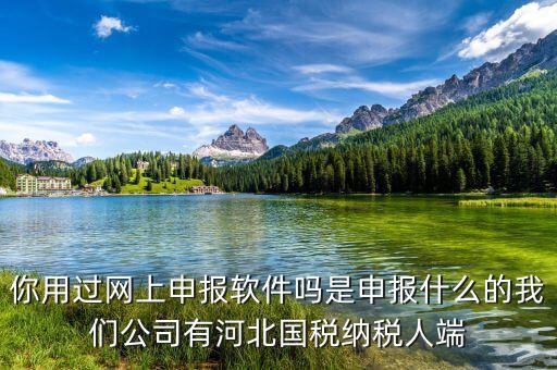 國稅人像采集是什么意思，你用過網(wǎng)上申報軟件嗎是申報什么的我們公司有河北國稅納稅人端