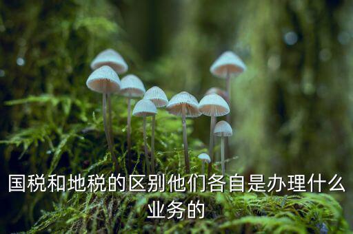 地稅是辦理什么業(yè)務(wù)的，企業(yè)在地稅局主要辦理什么業(yè)務(wù)呢
