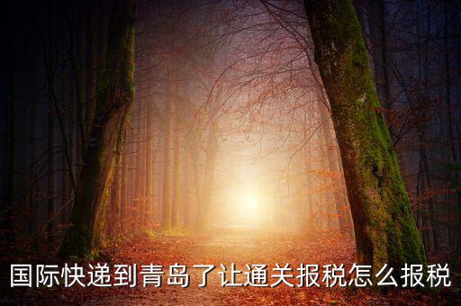 青島物流公司拿什么稅，國際快遞到青島了讓通關(guān)報稅怎么報稅
