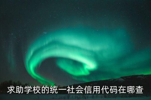 學(xué)校的社會(huì)信用代碼是什么東西，求助學(xué)校的統(tǒng)一社會(huì)信用代碼在哪查